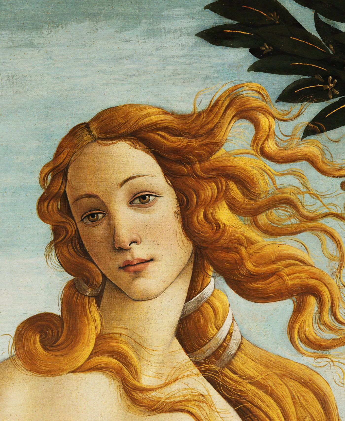 Head and flowing hair of Venus from The Birth of Venus by Sandro Botticelli